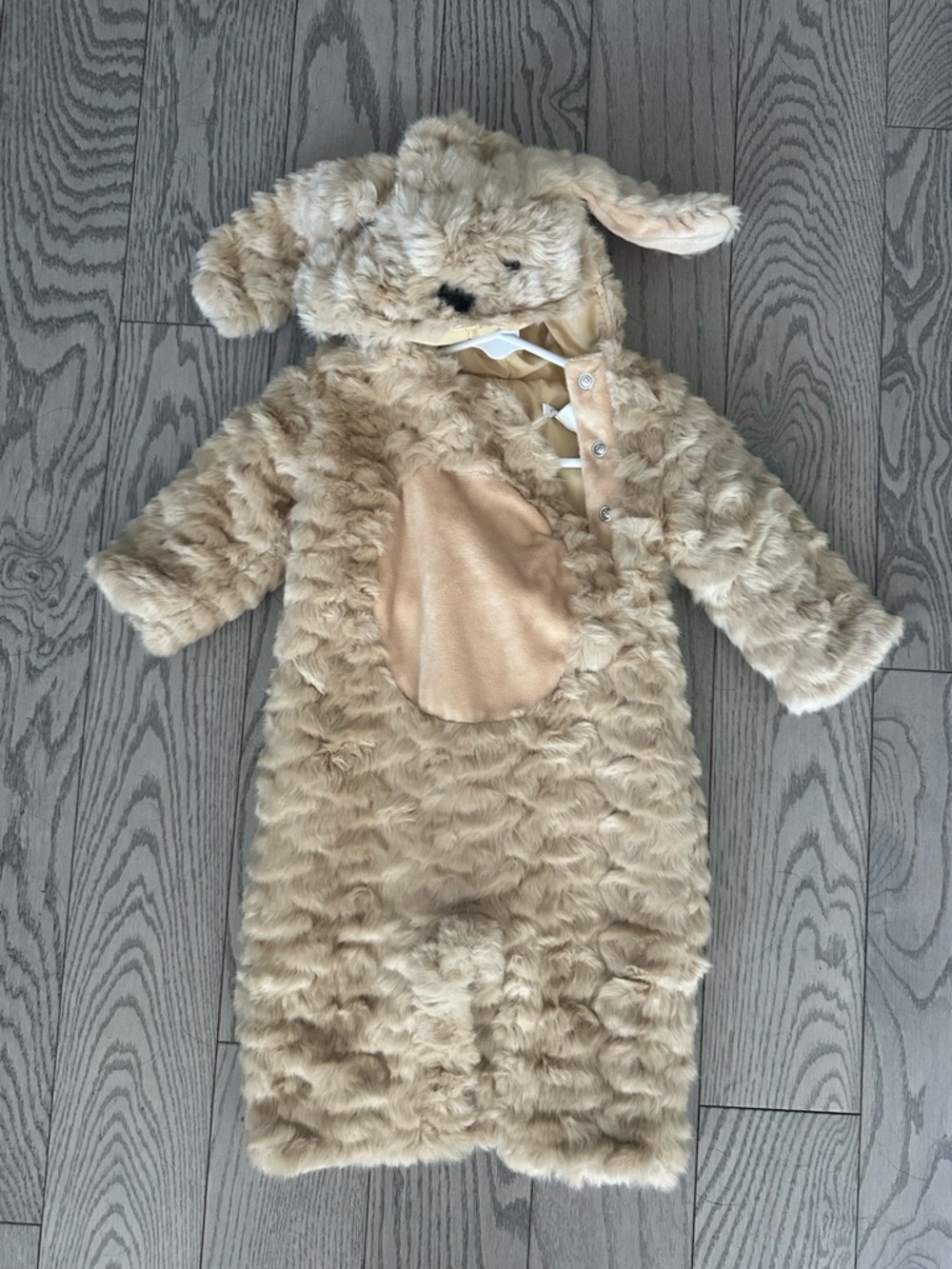 Pottery Barn Kids dog Costume